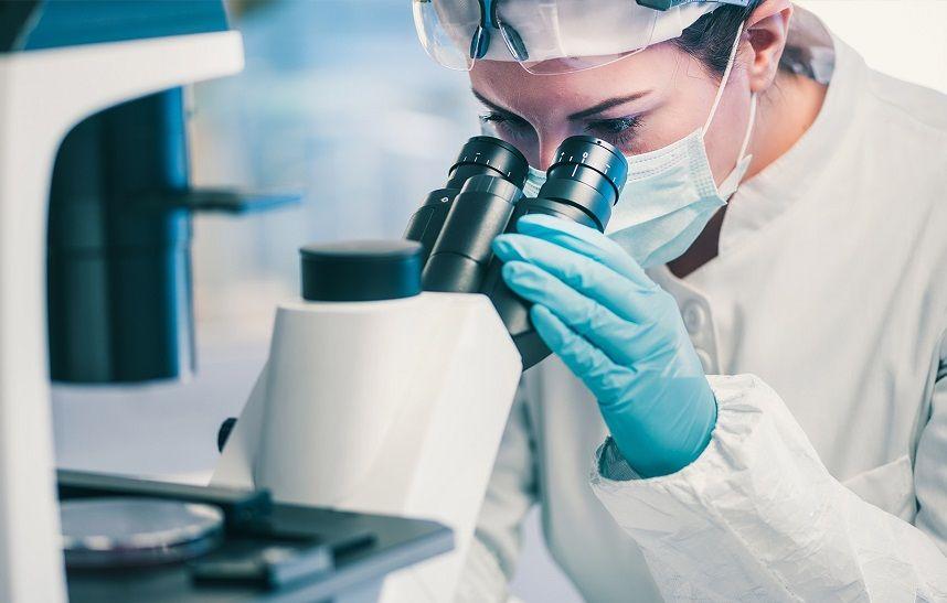 Identifican mecanismo generalizado que emplea una familia de virus para iniciar infecciones