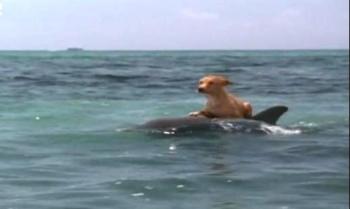 Amigos... o amor...?