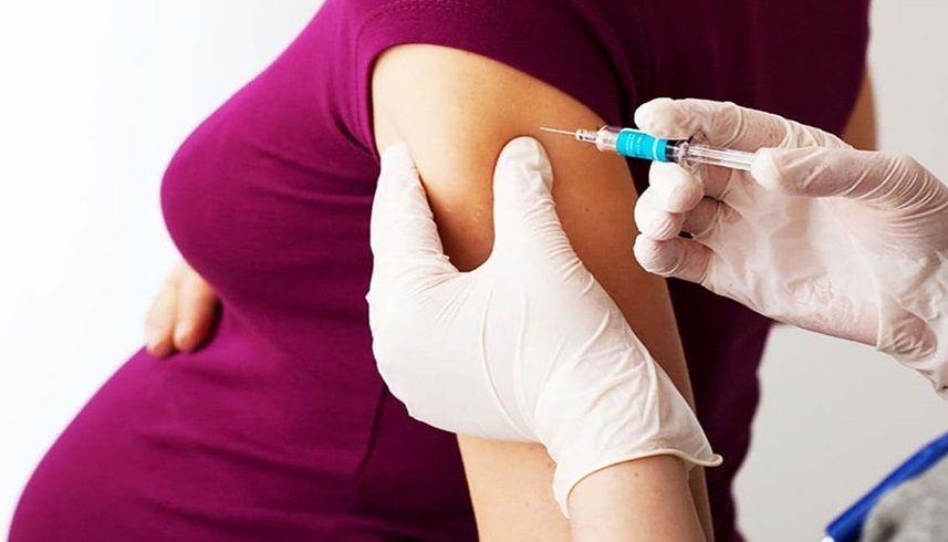 ¨Las vacunas no afectan la fertilidad femenina, la Covid sí¨
