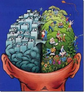 ¿que hemisferio del cerebro utilizas?