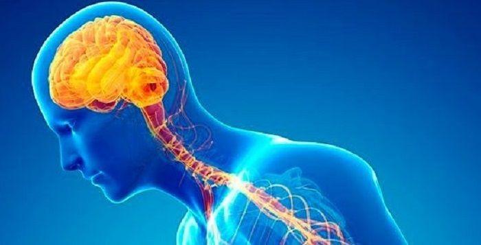 Un derivado de un antibiótico arroja resultados alentadores para combatir el Parkinson