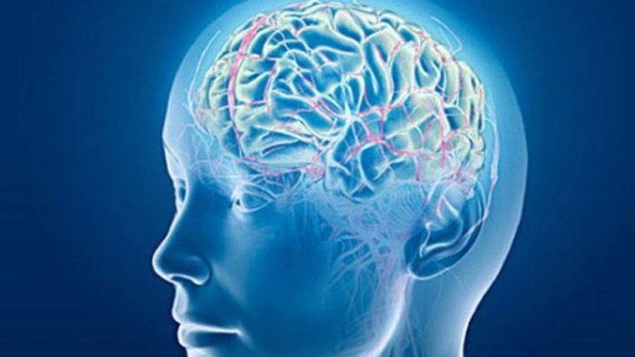 Obesidad: bajar de peso revierte el envejecimiento prematuro del cerebro