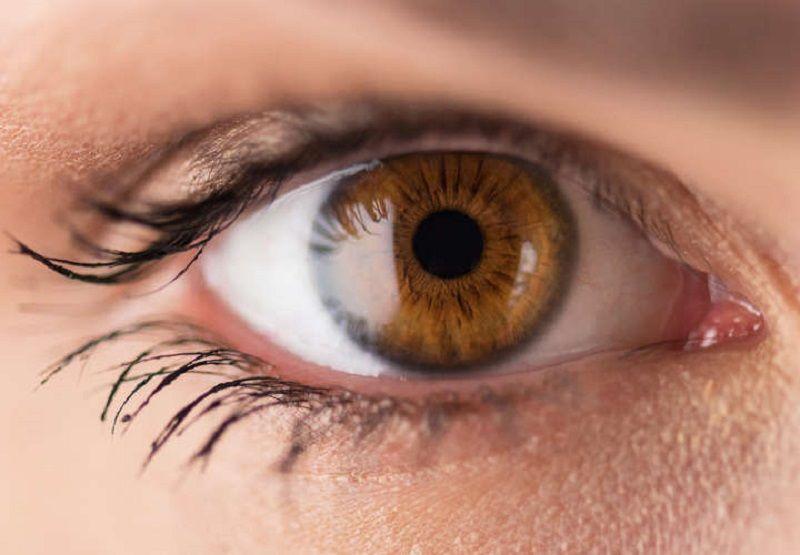 Un simple test ocular predice el riesgo de enfermedad cardíaca