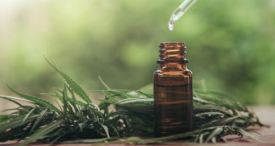 La Comisión Nacional de Alimentos avanza en la incorporación del cannabis al Código Alimentario Argentino
