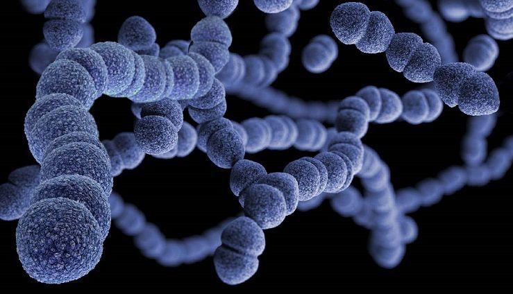 Estudian la evolución de la resistencia a antibióticos en un paciente con fibrosis quística