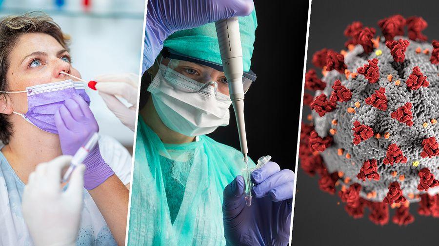 Advierten que las fake news amenazan el fin de la pandemia de coronavirus