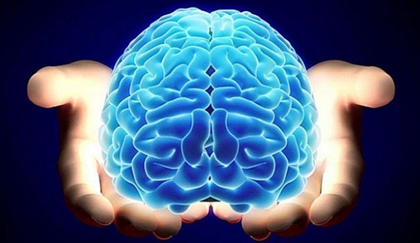 Secretos del cerebro que explican por qué algunas enfermedades afectan más a hombres y otras a mujeres