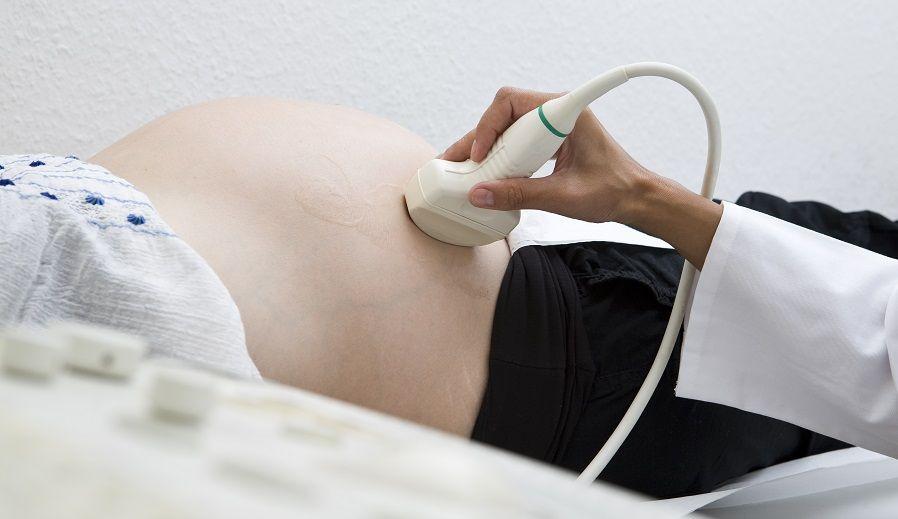 La vital importancia de los estudios fetales, neonatales y pediátricos