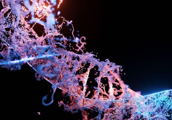 Qué tienen en común la obesidad y el alzhéimer