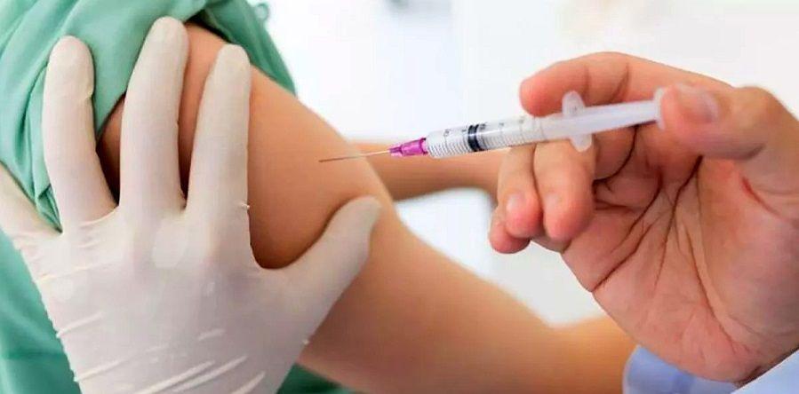 El Ministerio de Salud inició la distribución de la vacuna antigripal