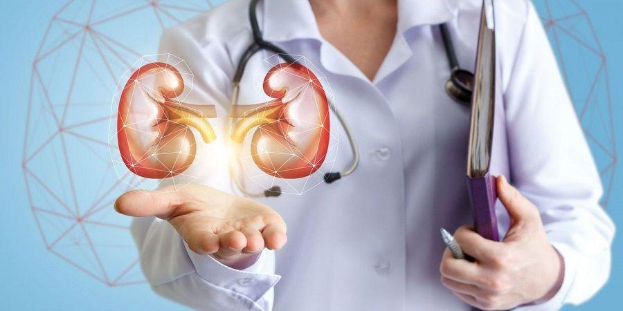 Enfermedad Renal Crónica: una de cada 10 personas sabe su condición