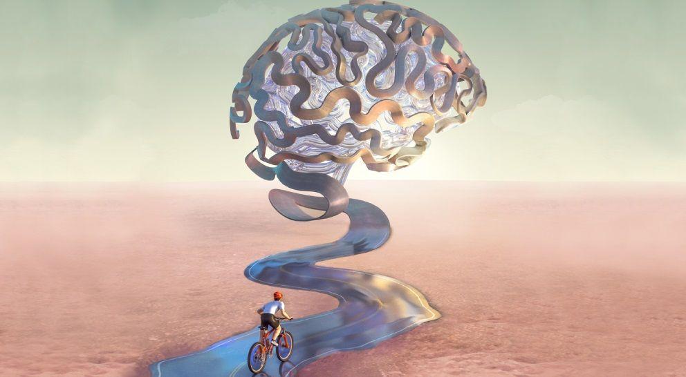 CONICET: Investigación muestra que 25 minutos de actividad física mejoran la memoria espacial