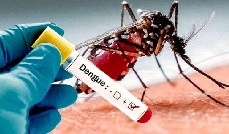 La ANMAT aprobó el uso de la vacuna del laboratorio Takeda contra el dengue