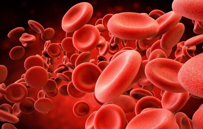 Descifran misterio sobre los glóbulos rojos que abre la puerta a nuevas terapias contra la anemia