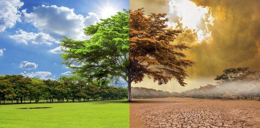 ¨El cambio climático es actualmente la emergencia en salud más importante¨