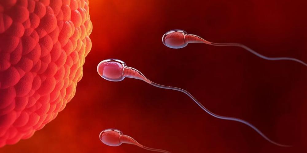 ASÍ COMIENZA LA MARAVILLA DE LA VIDA