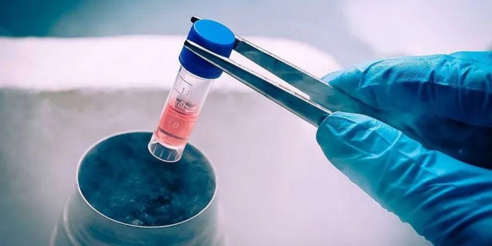 LOS EMBRIONES SON PERSONAS Y MERECEN SER PROTEGIDOS, NO DESCARTADOS