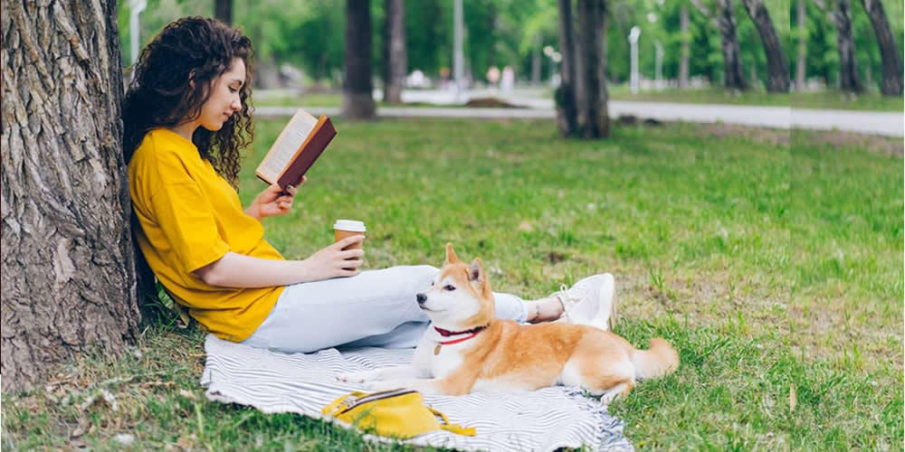Las 10 Ciudades más Pet-Friendly para visitar con tu mascota (Por Víctor Madera)