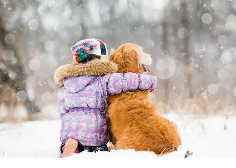Consejos para Llevar a Tu Perro a la Nieve (Por Víctor Madera)