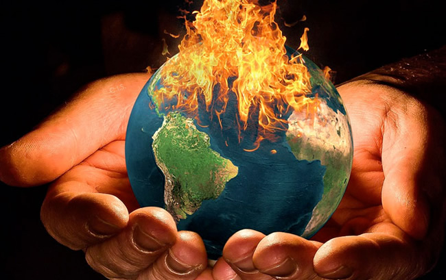 Cambio Climático en 2025 y su Impacto en las Mascotas: Un Desafío Emergente (por Víctor Madera)