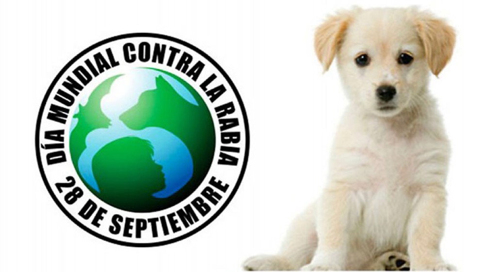 Día Mundial contra la Rabia: Un Recordatorio de la Prevención y la Conciencia Global (por Víctor Madera)