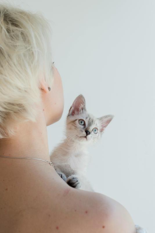 Más allá de los estornudos: La alergia estacional en mascotas (por Víctor Madera)