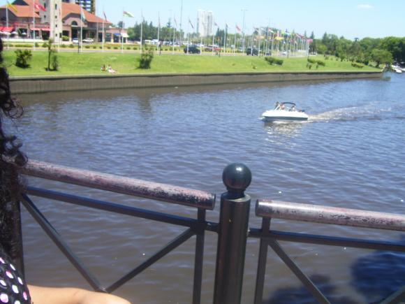 Tigre 