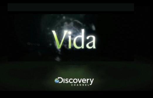 SERIE VIDA DISCOVERY (30 Videos en Español)