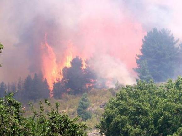 Incendio en Lago Puelo, las llamas se dirigen hacia zonas urbanas