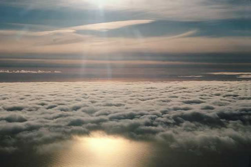 ¿Sabías que hay seres que habitan en las nubes?