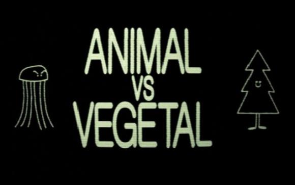 Animales Vs. Vegetales