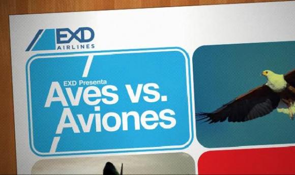 Aves Vs. Aviones