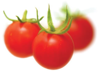 ¿Sabías que el tomate era conocido como la “manzana del amor”?