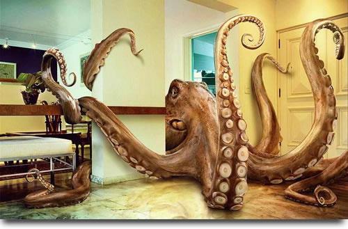 ¿Sabías que el Pulpo o Calamar Gigante tiene 3 corazones?