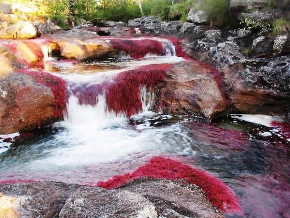 Caño Cristales: El río más colorido del mundo
