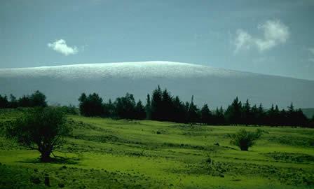 ¿Sabes cual es el volcán mas grande del mundo?