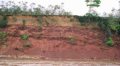 ¿Por que en algunas partes la tierra es de color marrón?