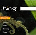 Los usuarios se interesan por bing, pero no abandonan a google
