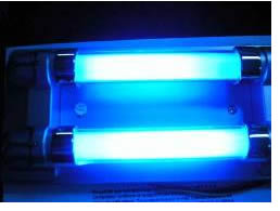 ¿Sabes que es la luz de Neón?