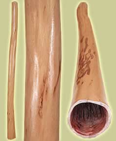 ¿Sabías que tocar el Didgeridoo Australiano puede ser una forma de ejercitar la garganta y evitar ronquidos?