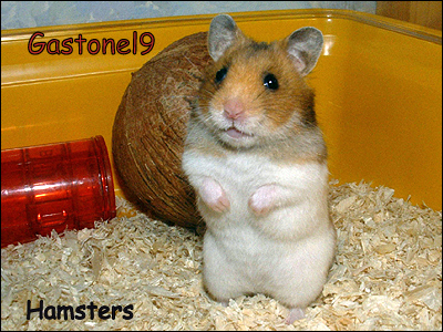 50 cosas que alguna vez nos pasaron!!