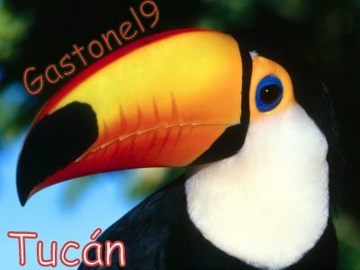 Tips Para Desarrollar Pensamiento Creativo 