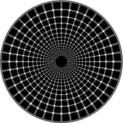 Ilusion optica – ¿Puntos Negros?