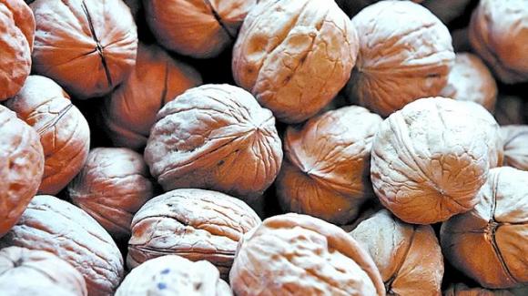 Nueces superpoderosas