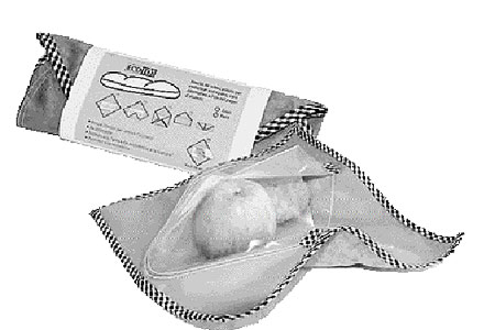 Investigadores Argentinos encontraron las plantas más antiguas del mundo