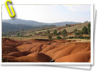 Nos estamos quedando sin suelo 