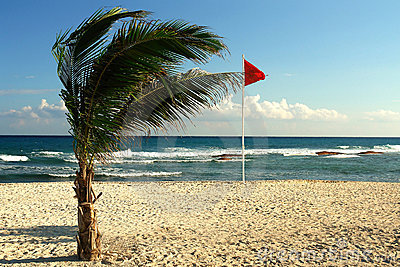 Viento