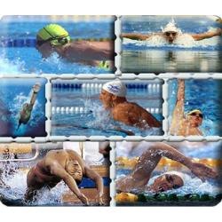 Sudamericano de natacion