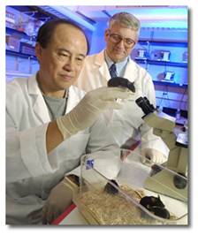 Ensayan una vacuna Argentina contra el cáncer de pulmón