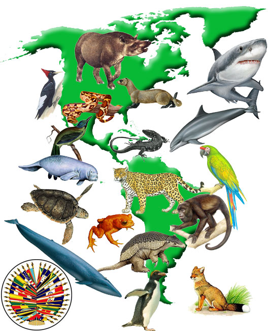 Animales extintos y en extinción en América Latina y España